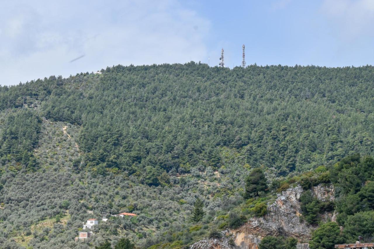 Appartamento Zoe'S Flat Megali Ammos Città di Skiathos Esterno foto